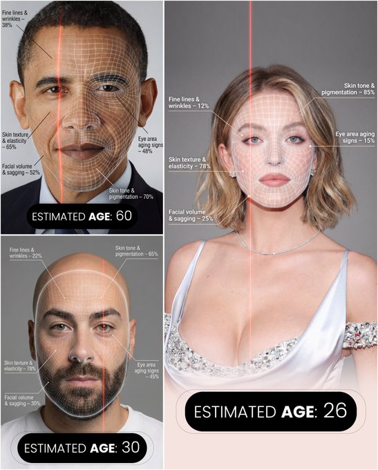 Generated